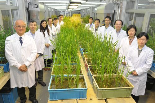 农业生物技术国家重点实验室(香港中文大学)主要科研人员