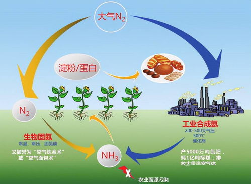 克服天然缺陷 人工高效生物固氮技术潜力巨大